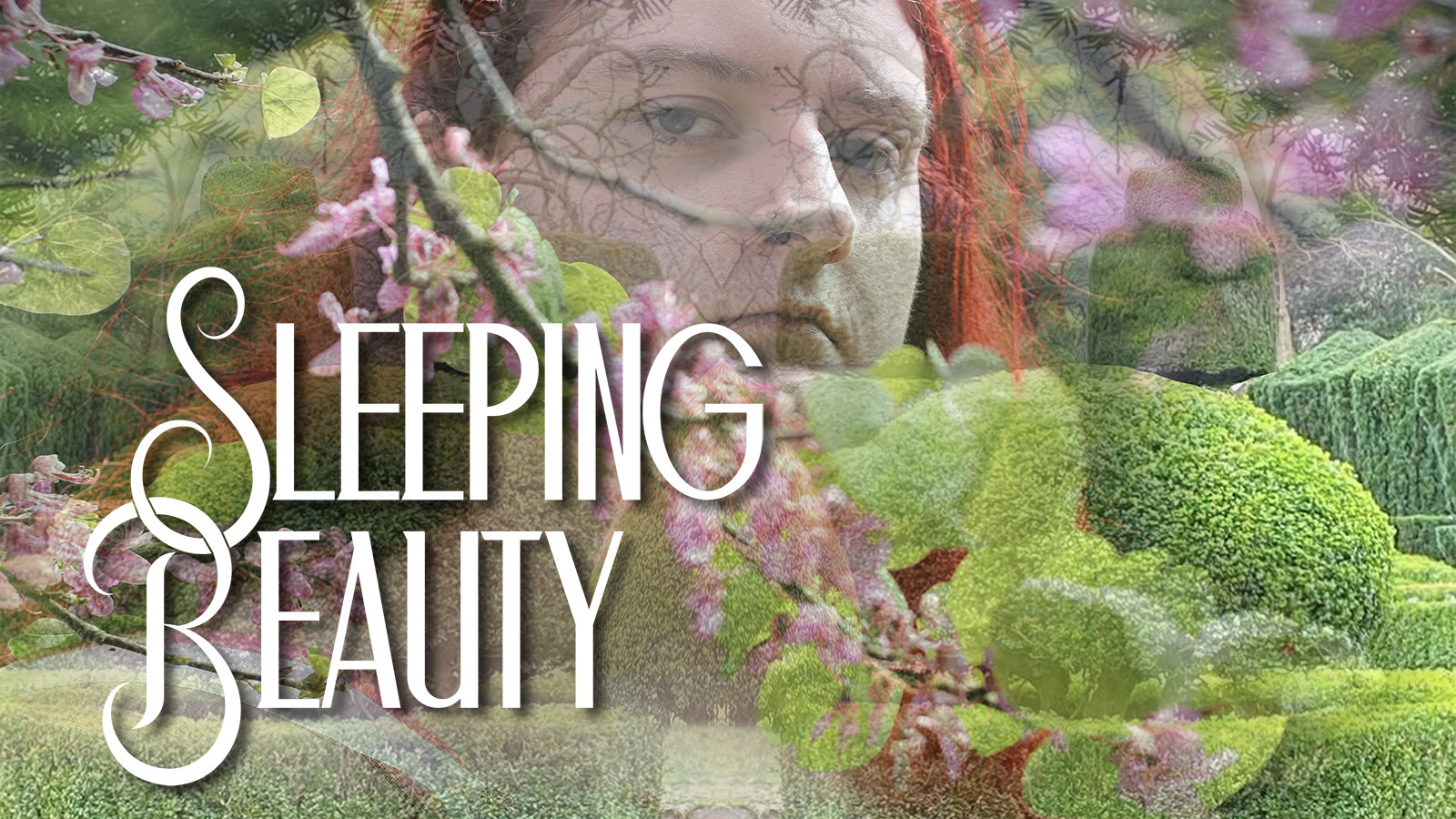 Sleeping Beauty poster artwork showing a face blended with pink flowers and a green garden maze, with the title “Sleeping Beauty”.