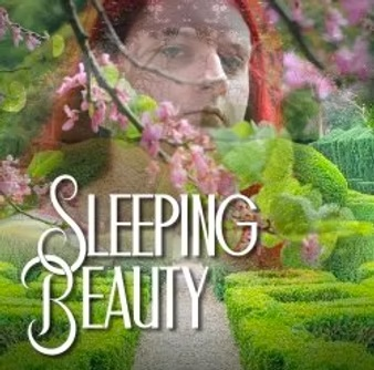 Sleeping Beauty Perfomance